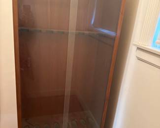 Gun Display case