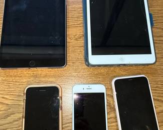 Apple iPad Mini and iPhone Bundle