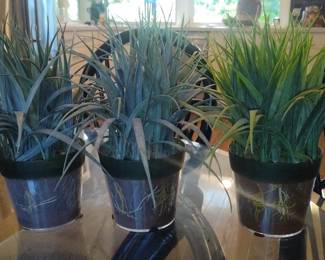 Set of 3 Artificial Grass Plants in Clear Pots
