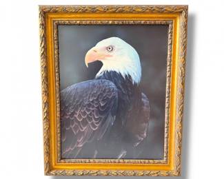 105 BaldEaglePortraitPrintinOrnateGoldFrame