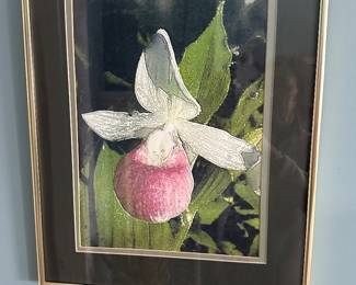 Lady Slipper signed original artwork