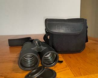 L.L.Bean 8x42 Waterproof Binoculars with Carrying Case