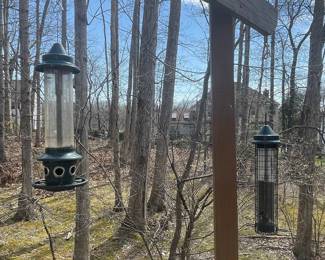 Green Metal and Glass Tube Bird Feeder and Squirrel-Resistant Cage Feeder