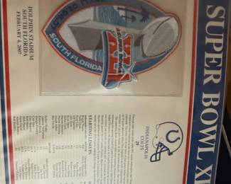 The Official NFL Super Bowl Patch Collection by Willabee & Ward