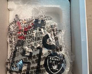 Las Vegas Raiders Chain Medallion Set