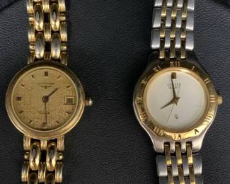 AM316VLongines  Citizen Watches