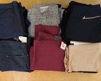 AM267Mystery Lot Size 16 Womens Business Casual Pants