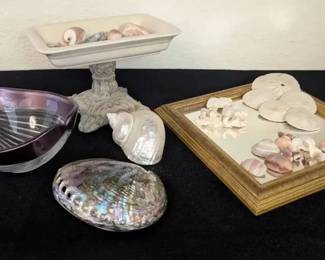 AM104She Finds Turbo Shell, Abalone, Sand Dollars By The Sea Shore