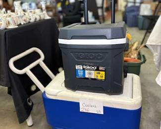 Igloo Coolers