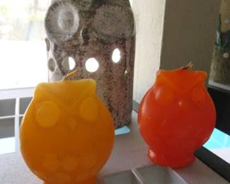 Owl Candles & Luminary Candle Holder 
