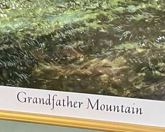 FRAMED/MATTED/SIGNED/NUMBERED "GRANDFATHER MOUNTAIN" by WILLIAM MANGUM 569/950