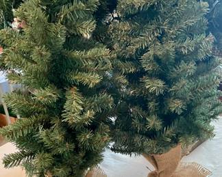 Burlap Wrapped Christmas Trees