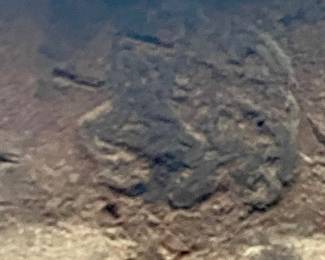 Fisher & Norris 1906 100 Lbs Anvil