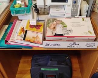 Bernina Artista 730 Set Up