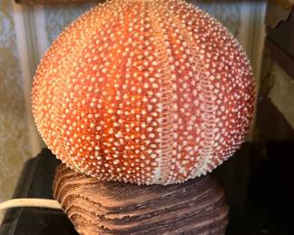 Sea Urchin Night Light