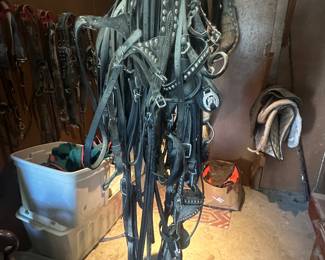 Reins, halters and bits......