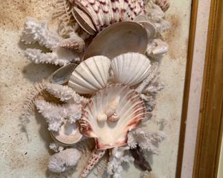 seashell framed wall art