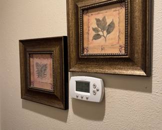 Framed floral prints