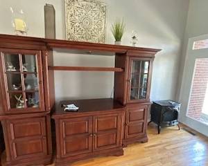 entertainment center with glass doors