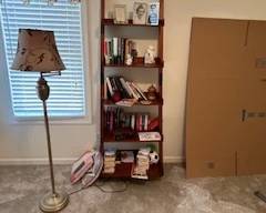 bookcase, lamp, books