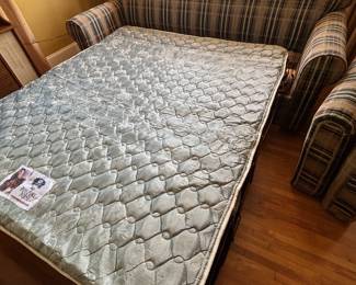 Available for presale - Sofa Bed - $100