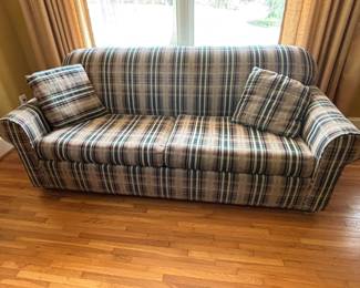 Available for presale - Sofa Bed - $100