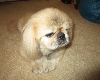 Supervising, not for sale