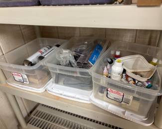 Painting supplies for wood carvings