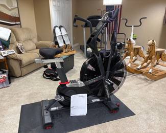 Schwinn air exercise bike