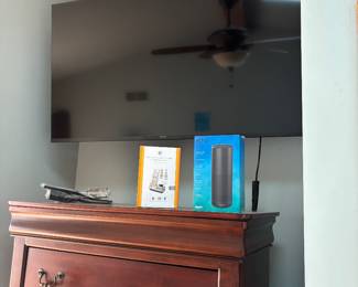 Television Sony Bravio 