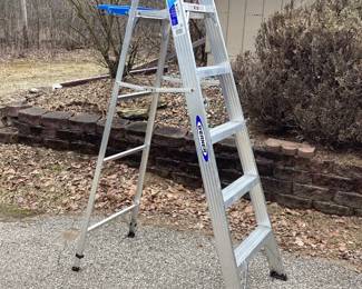 Werner 6' ladder