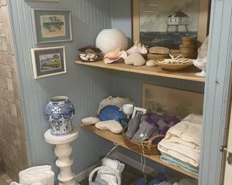 Wonderful shell and coral specimen collection