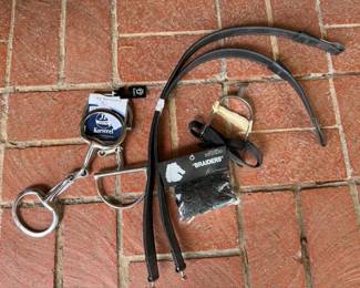 Bits, spurs and accessories