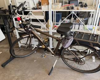 Pedego electric bicycle