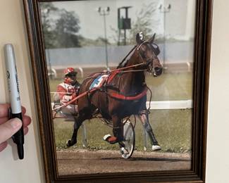 Framed sports photos......