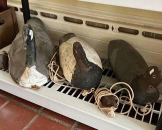 Hunting  ducks geese