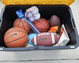  Large Sports Equipment Lot w/ Storage Bin – Basketballs, Footballs, Pump, Bases & More