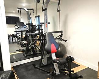 -Bowflex Home Gym Cable Machine w/ Lat Pulldown, Leg Developer & Multiple Attachments