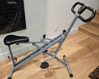 -Sunny Health & Fitness Squat Assist Rowing Machine Compact Exercise Trainer