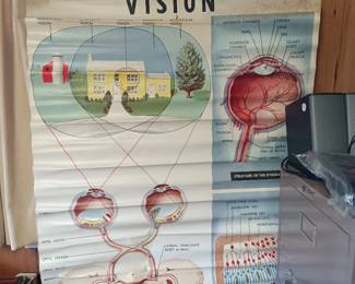 Vintage Medical Poster