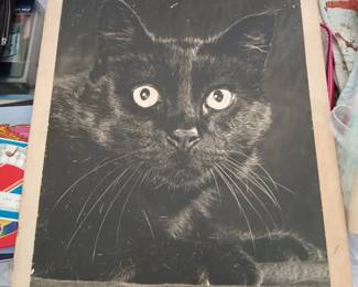 Cat Poster