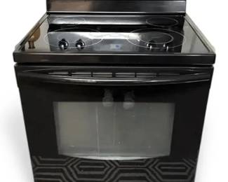 Black Samsung 30 Freestanding Electric Oven Model FER300SB