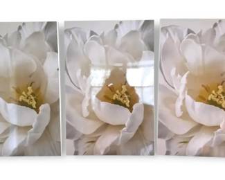 White Peony Flower 3Panel Art Prints