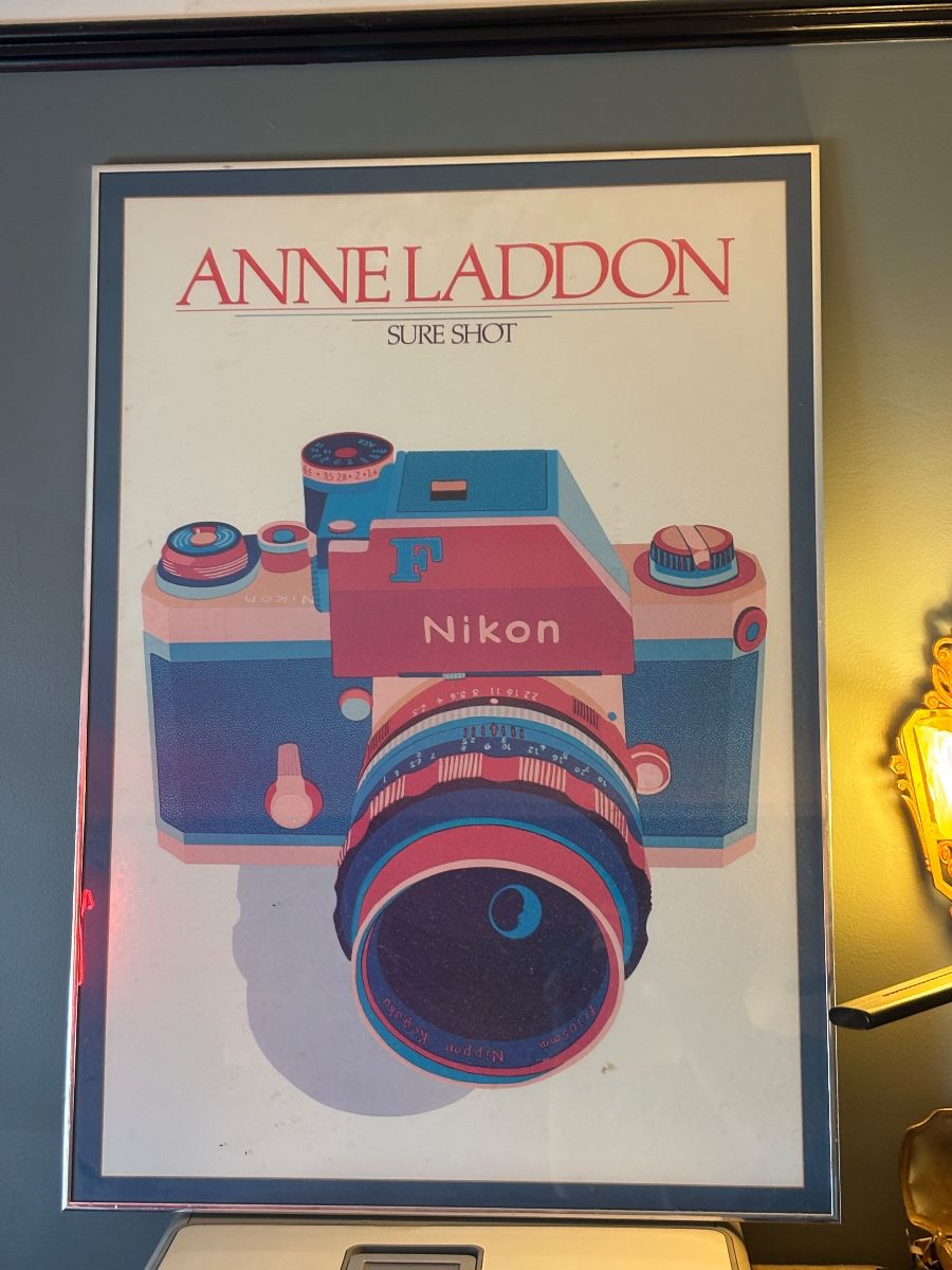 Anneladdon Nikon Camera framed art