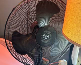 Fan