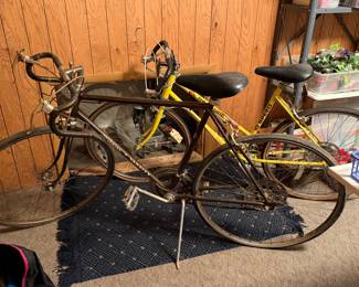Vintage mens and women's bikes