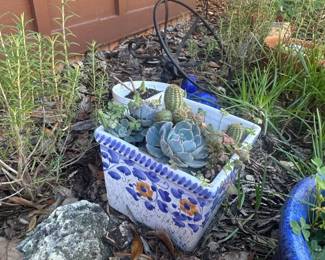 Vintage Talavera Style Ceramic Planter with Succulents