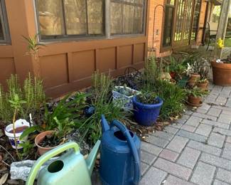 Plastic Watering Cans