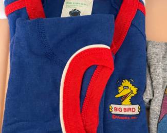 Vintage Big Bird Children's T-Shirt & Short Set