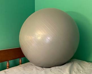 Exercise Ball
